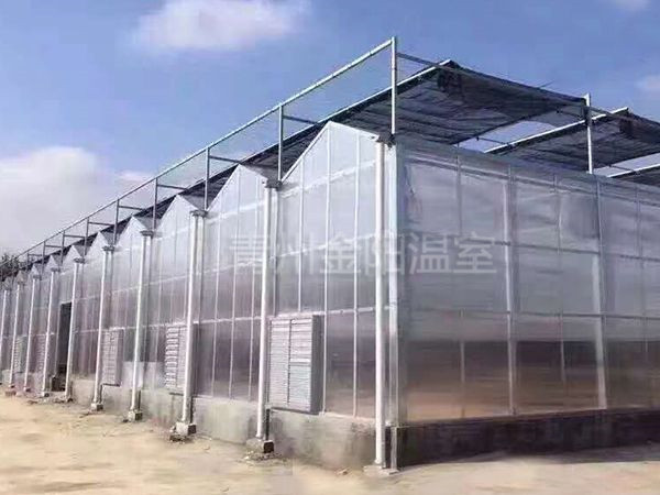 微信图片_20181221134544 - 副本.jpg