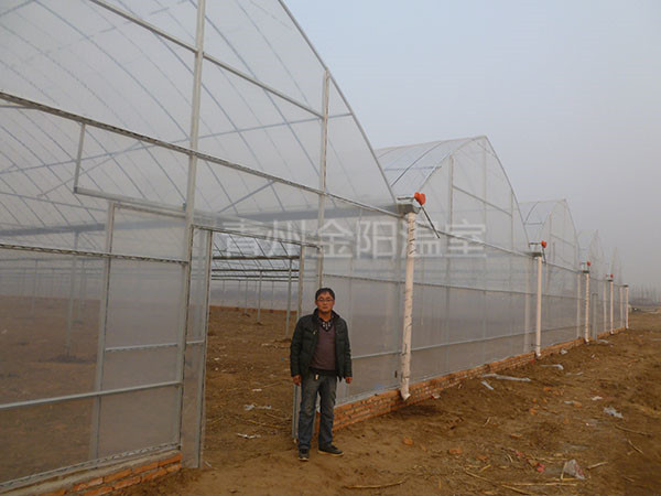 安徽砀山简易连栋温室.JPG