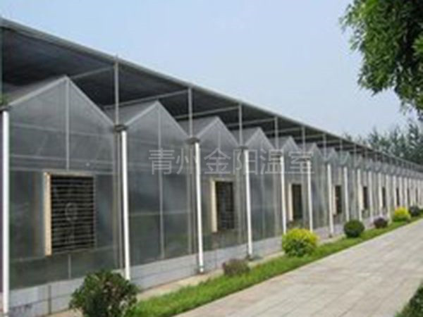 玻璃温室 (19).jpg