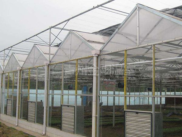 玻璃温室 (17).jpg