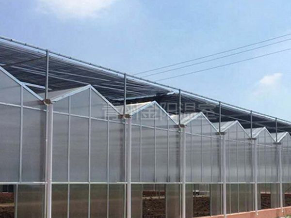 玻璃温室 (18).jpg